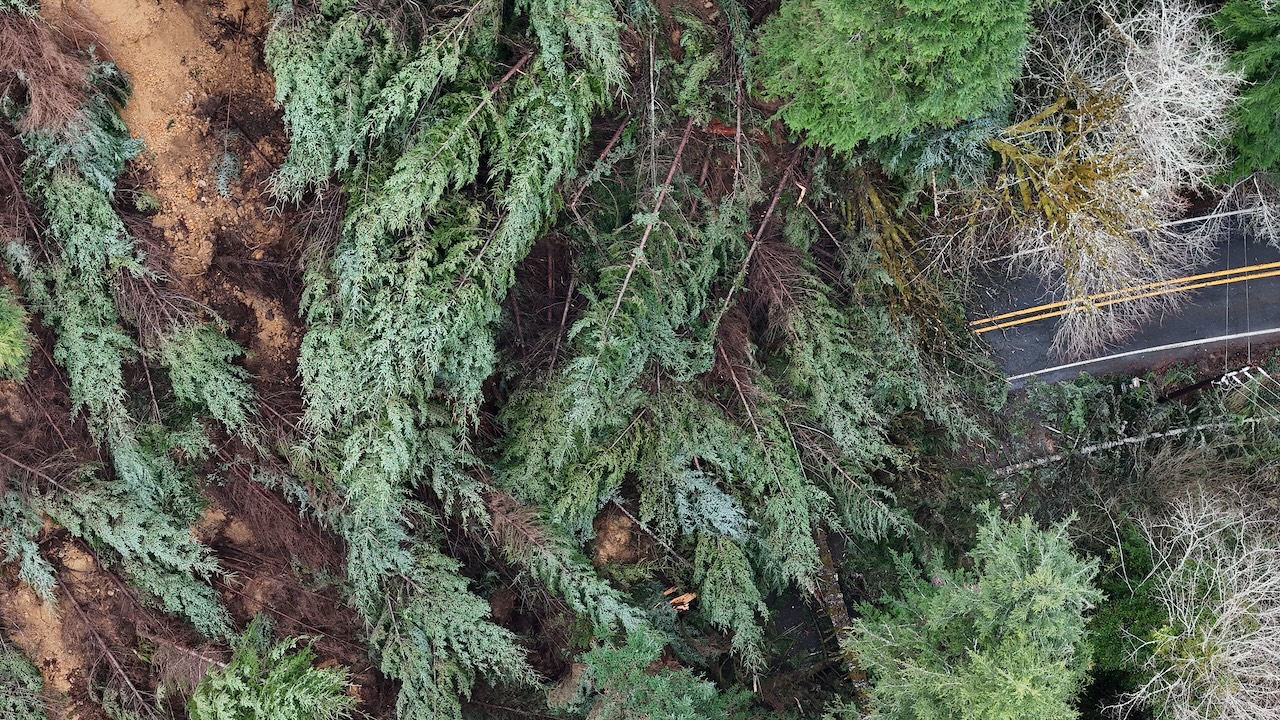 Photo of a highway through a forest taken from the air. In half the image the highway is wiped out by a huge landslide