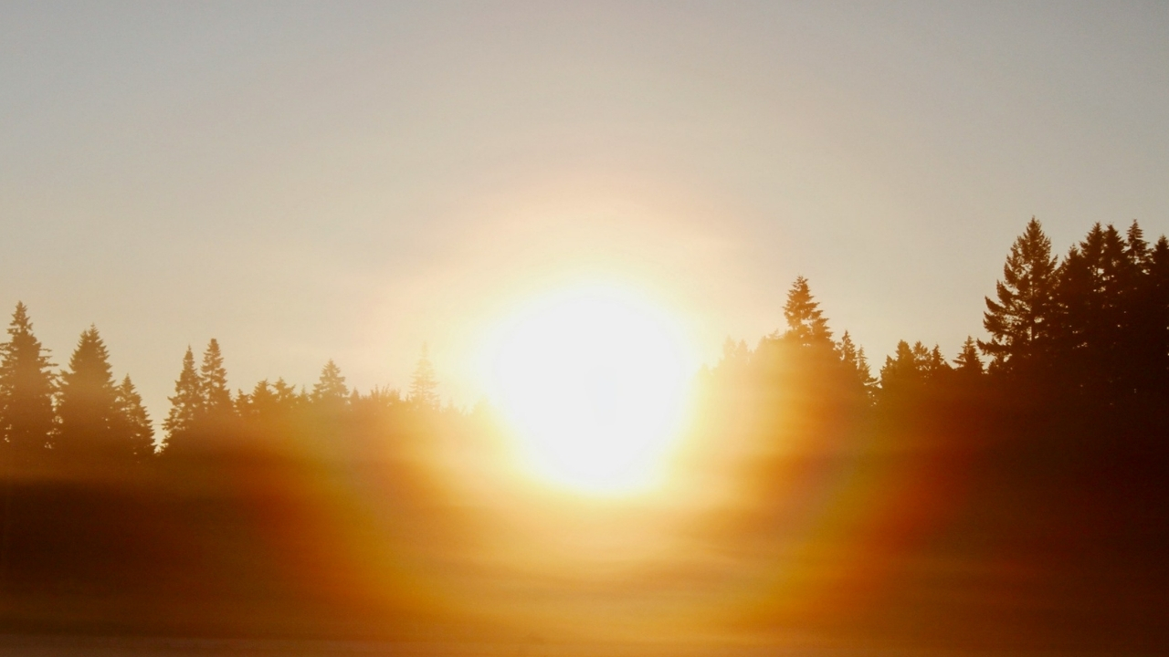 A blazing sun in the sky