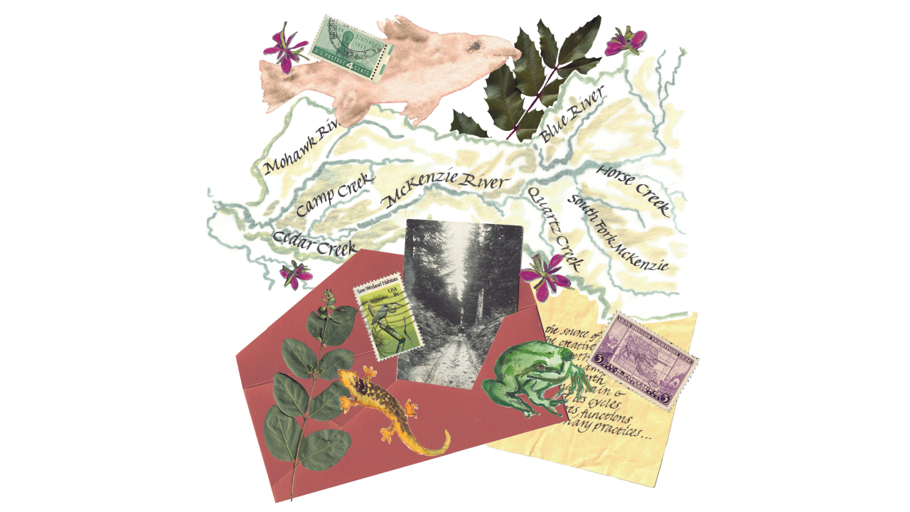 An illustration depicting a map of the McKenzie River watershed, a frog, a fish, a salamander, native flora, and postage stamps